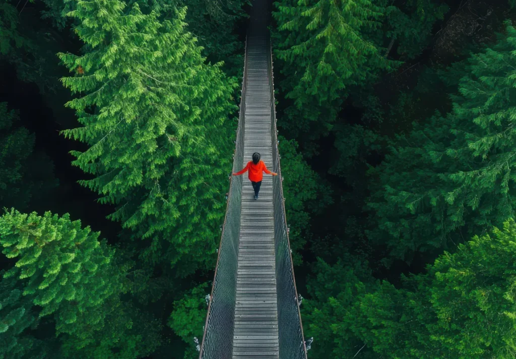 Bridge through a forest representing the mental exhaustion of work with ADHD.